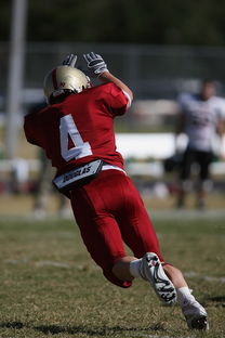 ac米兰官方网站-西甲球队通过动态热区分析优化防守覆盖区域,西甲热身赛赛程