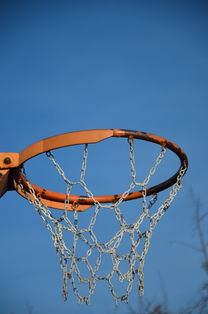 Ac米兰俱乐部官网-篮球运动员专项体能训练计划智能化设计与实施，篮球运动员体能训练的内容有哪些