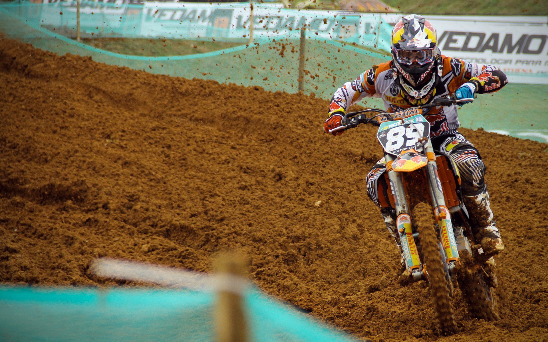 体育赛事市场规模增长报告